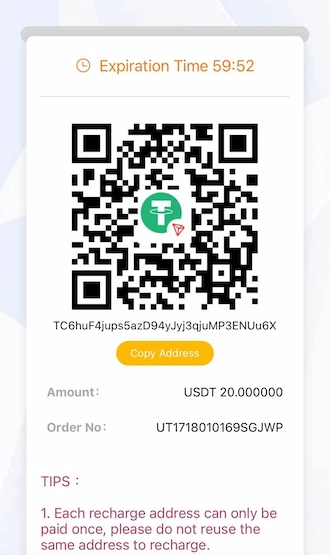 Step 4: The system will show you a QR code and a wallet address to receive money. Open your cryptocurrency wallet and USDT payment via a QR code or wallet address.