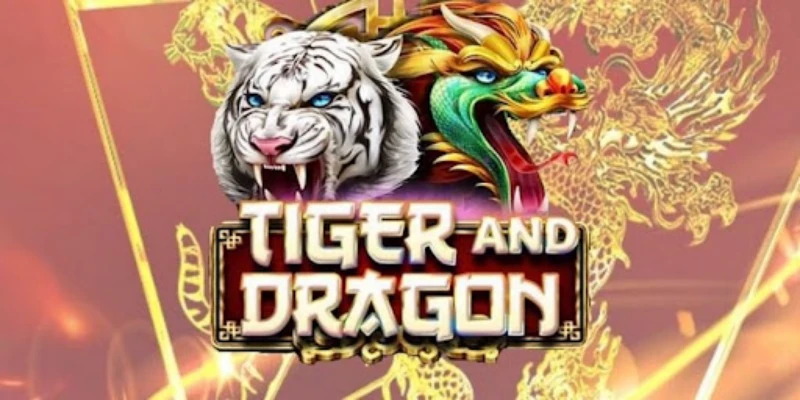 Terminology in Dragon Tiger